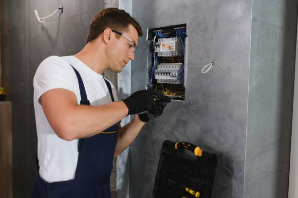 Best Electric Panel Repair  in Chester Gap, VA
